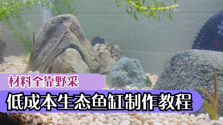 水缸改鱼缸教程（新手养鱼怎么布置鱼缸360问答鱼缸摆放方法） 鱼缸风水 第4张