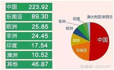 福建泉州金龙鱼市场（泉州金龙鱼市场） 鱼缸风水 第4张