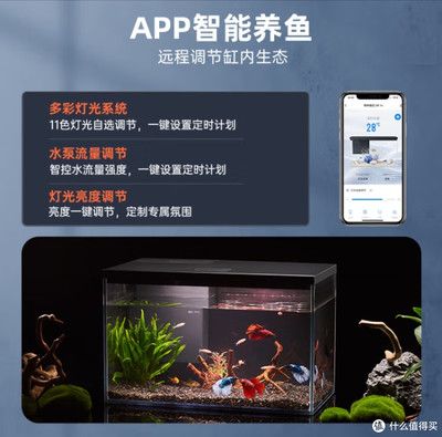 鱼缸设计软件APP（智能鱼缸设计软件app推荐鱼缸设计软件app） 鱼缸风水 第2张