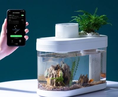 鱼缸设计软件APP（智能鱼缸设计软件app推荐鱼缸设计软件app）