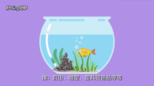 鱼缸怎么布置好看又实用（鱼缸布置技巧） 鱼缸风水 第4张