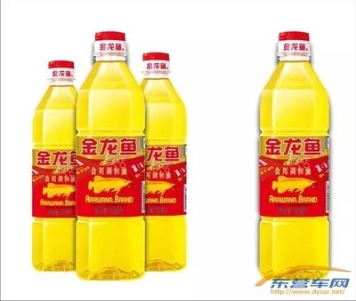 东营金龙鱼（东营金龙鱼食用油价格） 鱼缸风水 第3张