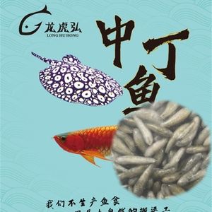 根地虎鱼喂龙鱼（根地虎鱼可以作为龙鱼的饲料吗）