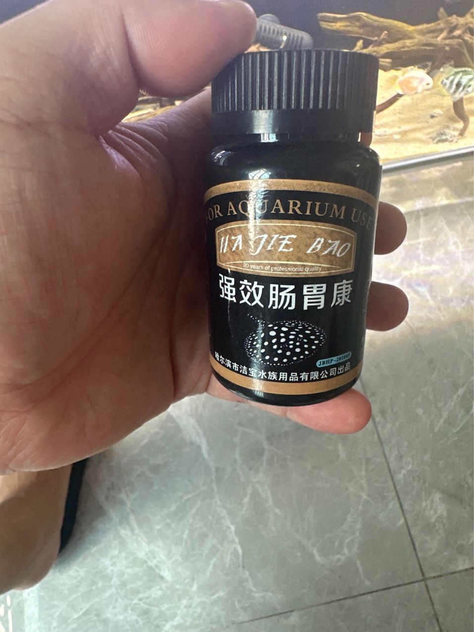 三湖慈鲷头大身子小是得了内寄还是肠炎？（求大佬指点迷津） 观赏鱼论坛 第4张