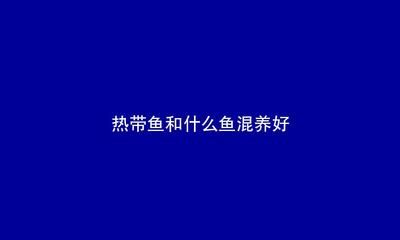 河豚可以和龙鱼一起养吗（关于河豚和龙鱼混养的注意事项） 龙鱼百科 第1张