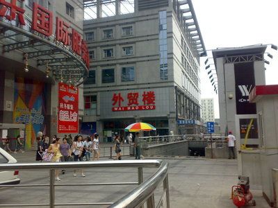 广东金龙鱼批发市场在哪里（广东金龙鱼批发市场位置）