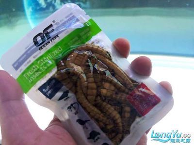 上海市闵行区星龙水族用品经营部（上海市闵行区星龙水族用品经营部详细介绍） 全国观赏鱼市场