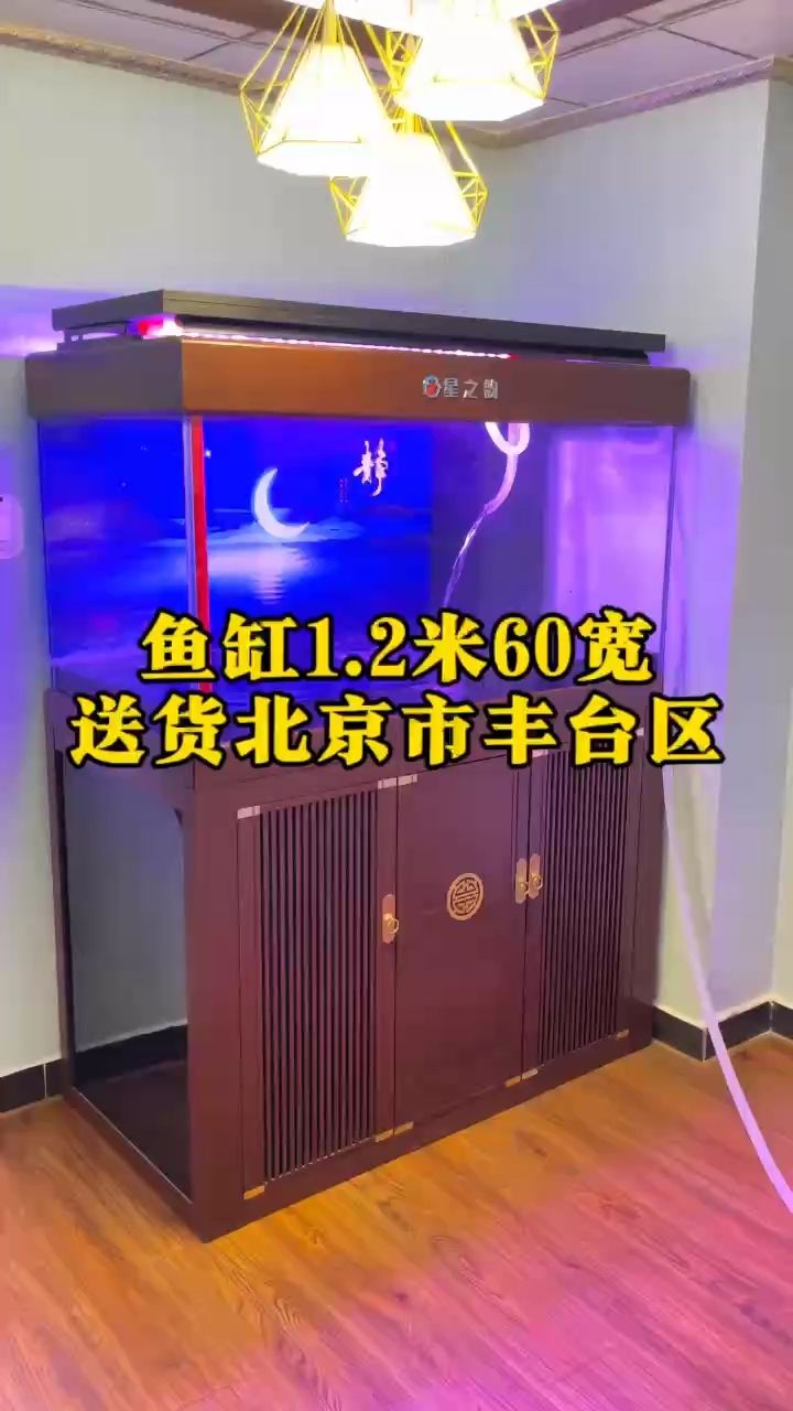 鱼缸1.2米60宽新中式风格鱼缸，超白鱼（北京市丰台区，小伙不帅_人见人爱） 观赏鱼论坛