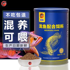 红龙鱼喂颗粒可以吗（红龙鱼吃颗粒饲料的注意事项）