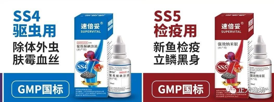 红龙鱼检疫药：红龙鱼检疫药有哪些种类 龙鱼百科 第3张