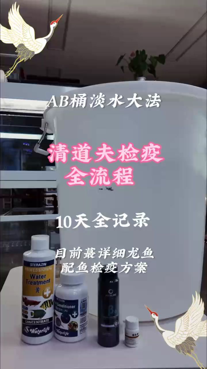 最全龙鱼配鱼及清道夫检疫方法：清道夫检疫最全方法! 观赏鱼论坛