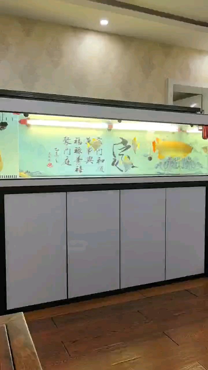 想出了这个鱼缸【想出了这个鱼缸,宇哥6519评论：好,龙巧儿评论：霸气】 观赏鱼论坛