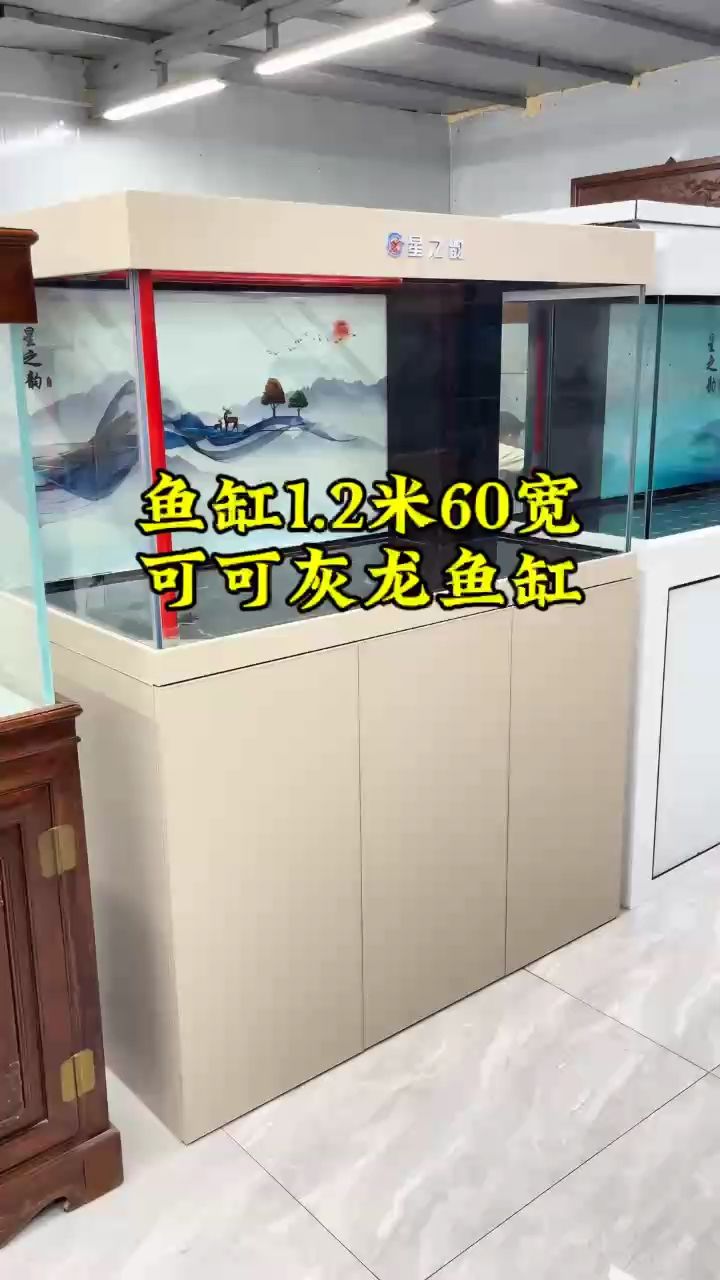 鱼缸1.2米60宽鱼缸水族箱，轻奢风格鱼【鱼缸1.2米60宽鱼缸水族箱】 观赏鱼论坛