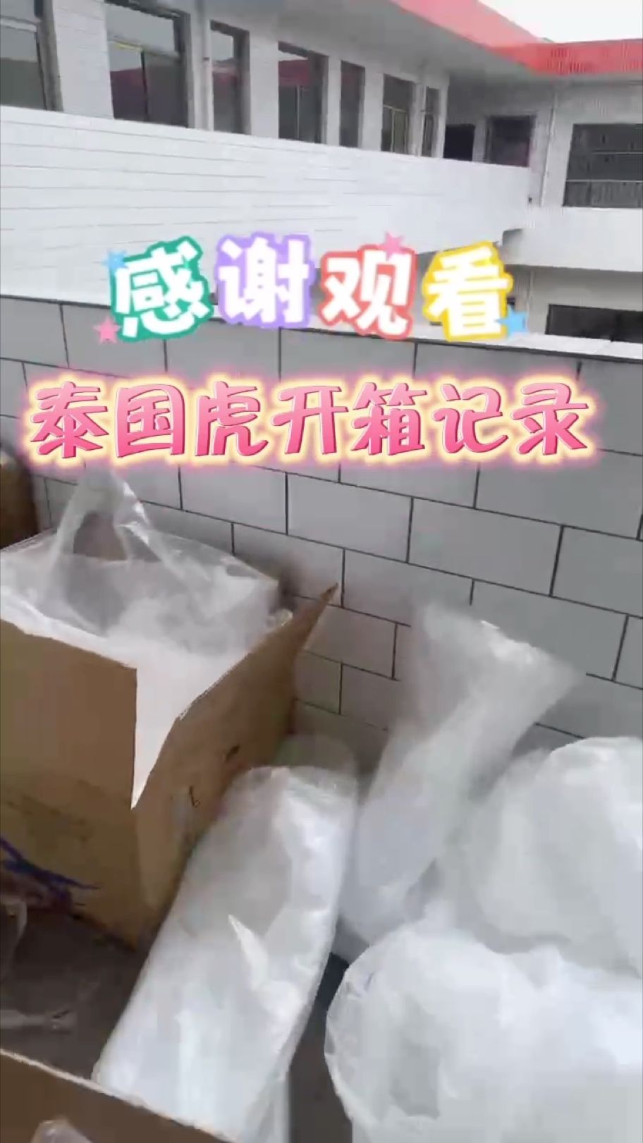 记录美好生活，泰国虎开箱记录【泰国虎开箱记录】 观赏鱼论坛