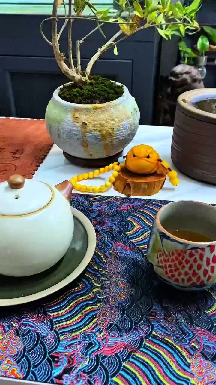 茶愉【茶愉,不聊天但酷】 观赏鱼论坛