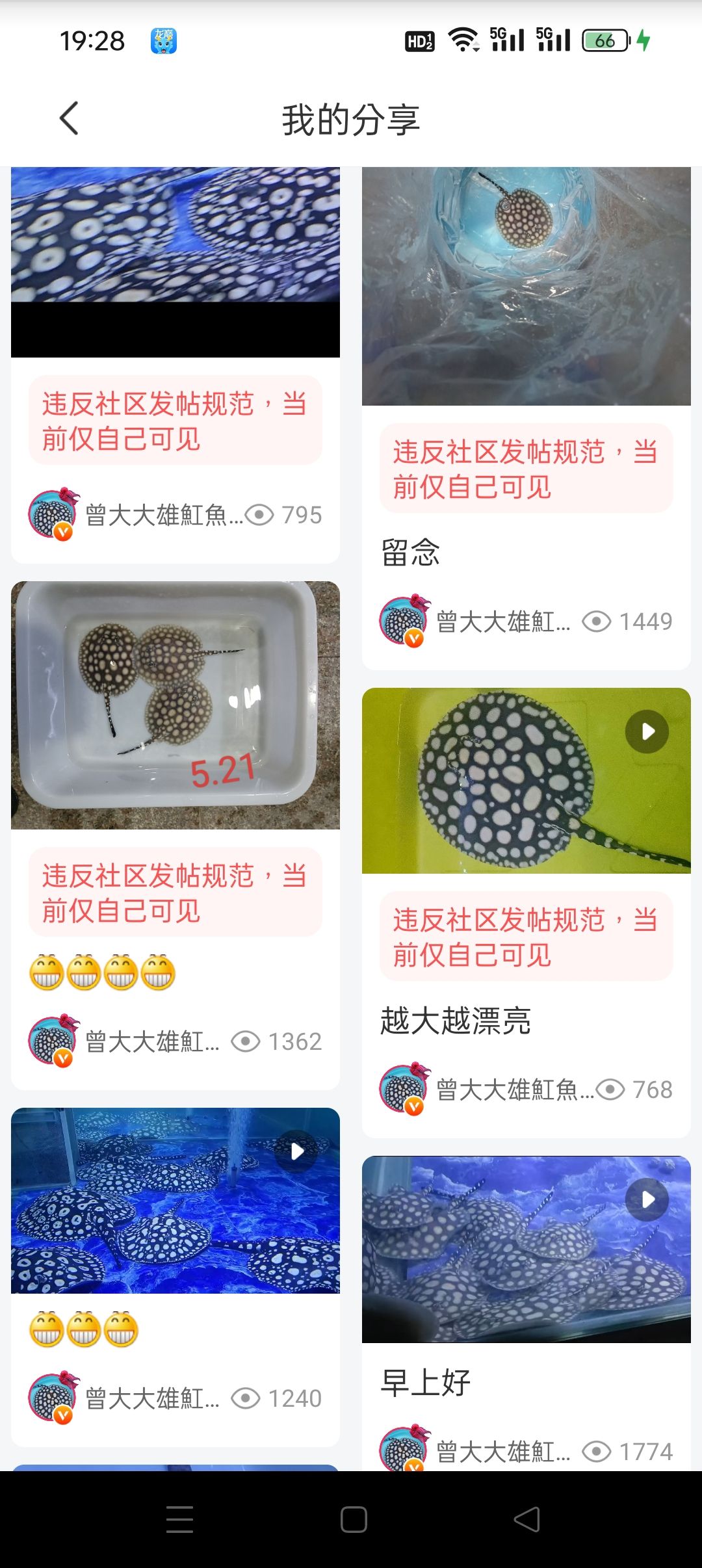 配个音乐发文，全被删【我都不知道如何发】 观赏鱼论坛 第3张