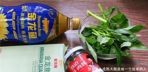 金龙鱼不吃食可以下盐吗【金龙鱼不吃食可以下盐吗，】