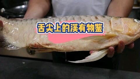 红龙鱼怎么吃【红龙鱼怎么吃找到35篇红龙鱼的食用方法红龙鱼的食用方法】