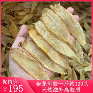 黄花叫金龙鱼【关于黄花叫金龙鱼的研究】 龙鱼百科 第4张