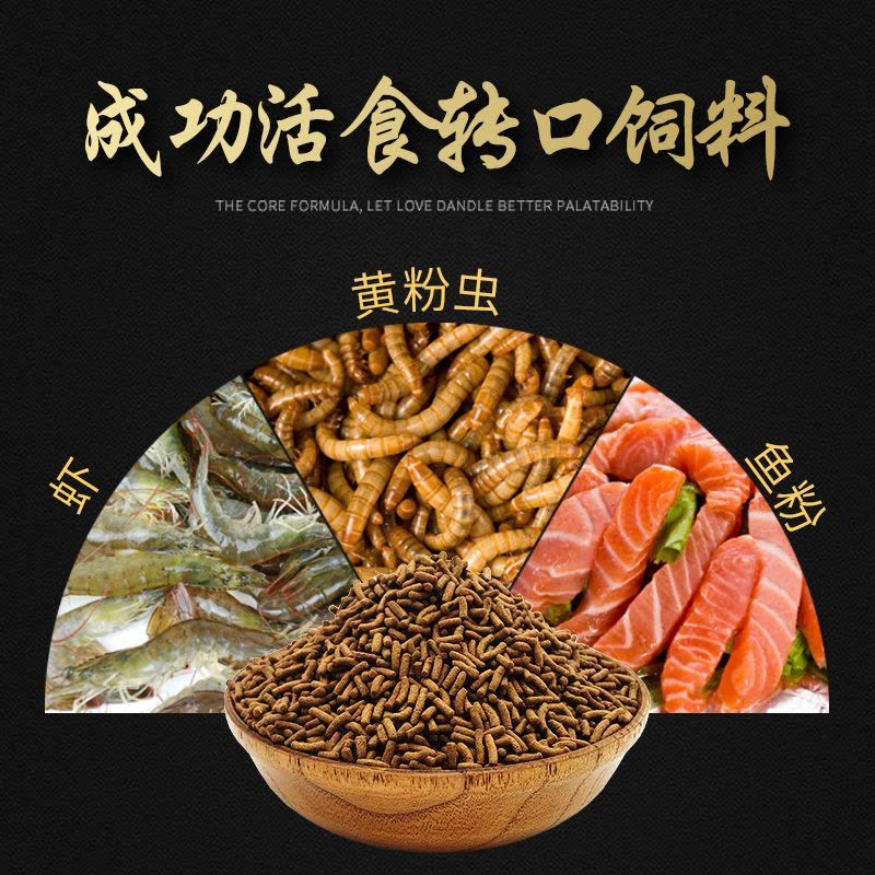 红龙鱼喂什么饲料最好喂什么活食最好【红龙鱼喂什么饲料最好喂什么活食最好喂什么活食最好】 龙鱼百科 第4张