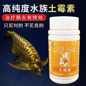 甲硝唑给龙鱼用安全吗【甲硝唑在龙鱼养护中的应用】 龙鱼百科 第1张