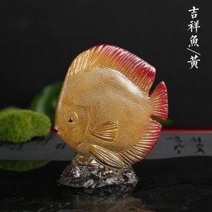 金龙鱼变色过程【金龙鱼的变色过程】 龙鱼百科 第5张