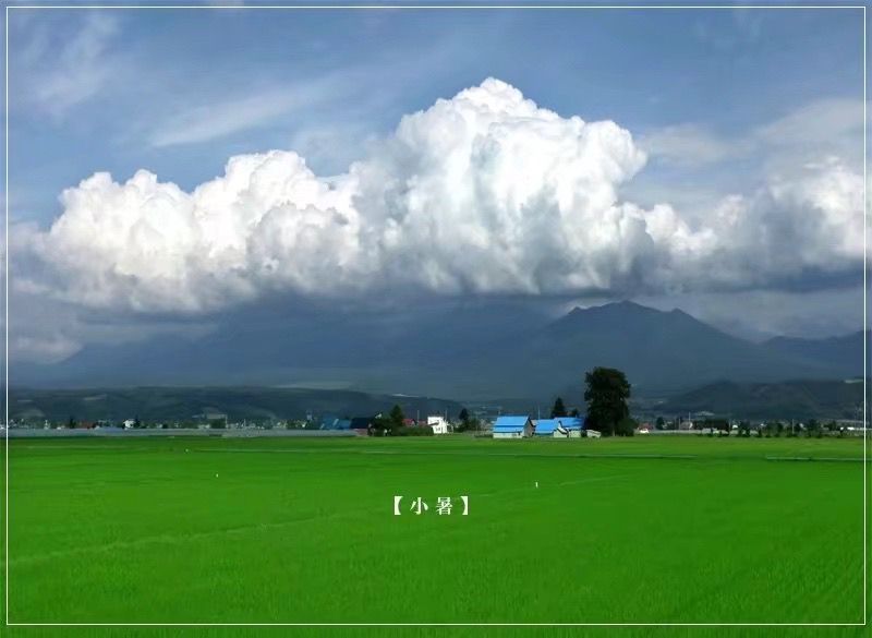 今日小署【今日小署今日小署】 观赏鱼论坛