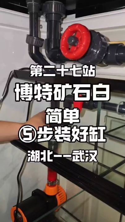 不得不说，现在的转个鱼缸安装是真的简单，管件集成度很高。这台 #博特鱼缸 颜色搭配看起来很舒服，用下来更舒服 #龙鱼缸 #过滤系统【博特鱼缸转个鱼缸安装是真的简单，管件集成度很高】 观赏鱼论坛