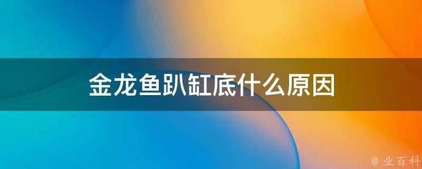 金龙鱼爬缸底【金龙鱼爬缸底可能由多种原因造成：环境因素,疾病因素】 龙鱼百科 第4张