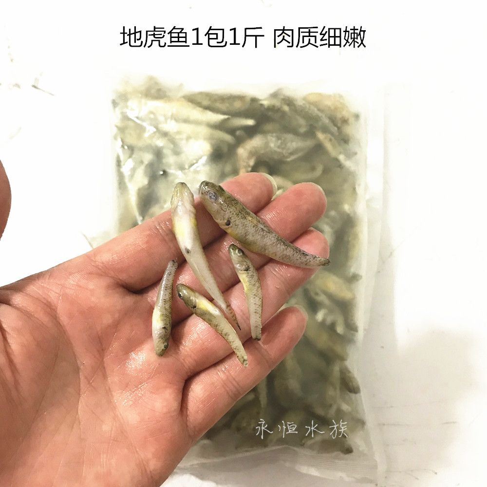 龙鱼50公分喂小河虾还是喂大虾仁【50公分的龙鱼喂小河虾还是喂大虾仁】 龙鱼百科 第4张