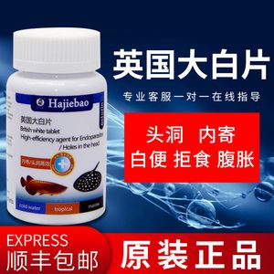 龙鱼白便用什么药【龙鱼白便用什么药治疗】 龙鱼百科 第2张