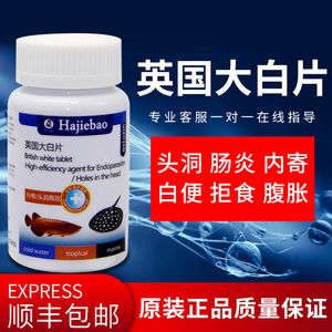 龙鱼白便用什么药【龙鱼白便用什么药治疗】 龙鱼百科 第4张