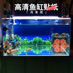 金龙鱼鱼缸贴纸什么颜色好【金龙鱼的贴纸颜色搭配】 龙鱼百科 第5张