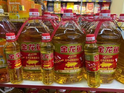 金龙鱼生活温度【金龙鱼最适宜的温度为24℃-29℃】 龙鱼百科 第5张