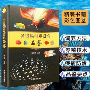 金龙鱼能和七彩神仙鱼混养吗【金龙鱼可以和七彩神仙鱼混养吗？】 龙鱼百科 第4张