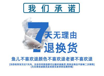 龙鱼不喜欢什么颜色【龙鱼不喜欢什么颜色,龙鱼不喜欢什么颜色的颜色】