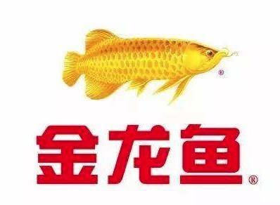 如何养六角恐龙鱼视频【六角恐龙鱼的饲养方法】 水族问答 第2张