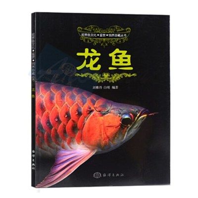 金龙鱼鱼苗2一5CM多少钱一对【影响金龙鱼鱼苗价格的因素】 龙鱼百科 第1张