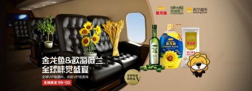 金龙鱼如何空运【如何成功空运金龙鱼】 龙鱼百科 第4张