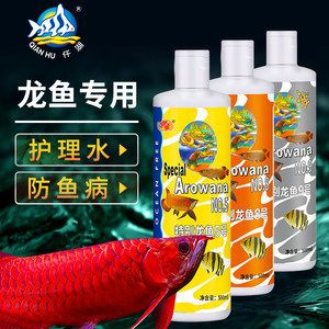 龙鱼白点是内细菌吗【龙鱼白点病是内细菌吗】 龙鱼百科 第3张