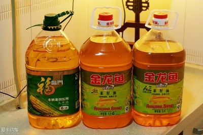 金龙鱼配料【金龙鱼的饲养与配料】 龙鱼百科 第1张