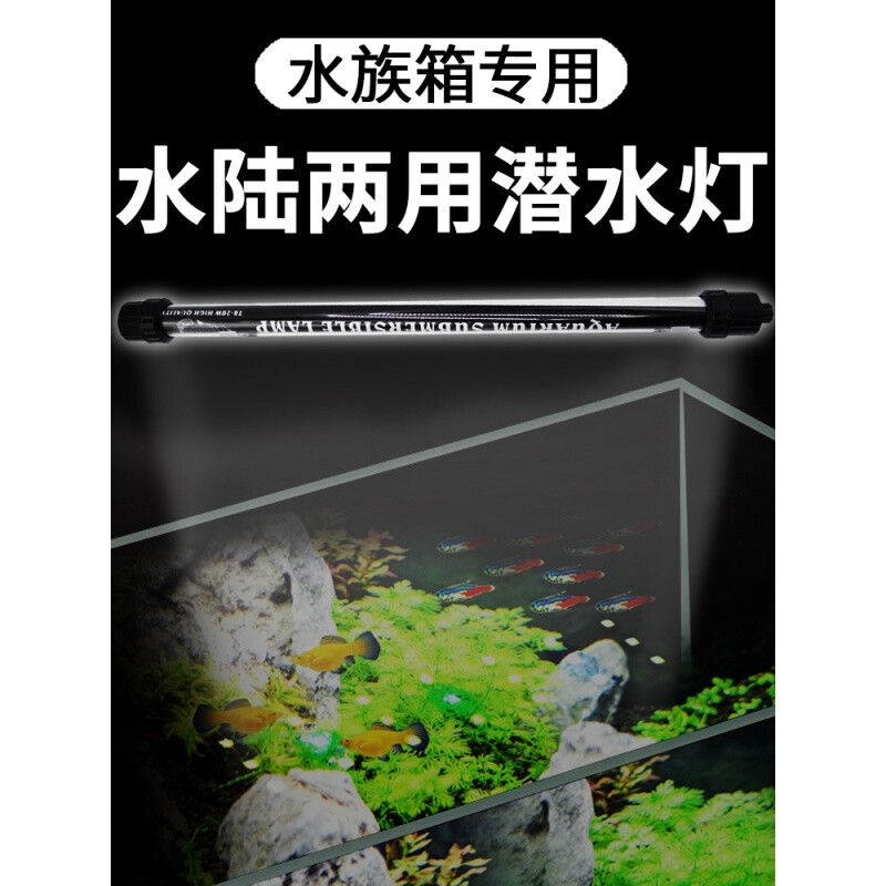 龙鱼灯865与965的比较【选择龙鱼灯时，865和965是两种常见的型号】