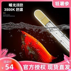 龙鱼烤色灯2700K的长期使用性（2700k烤色灯对龙鱼的发色有一定的帮助）