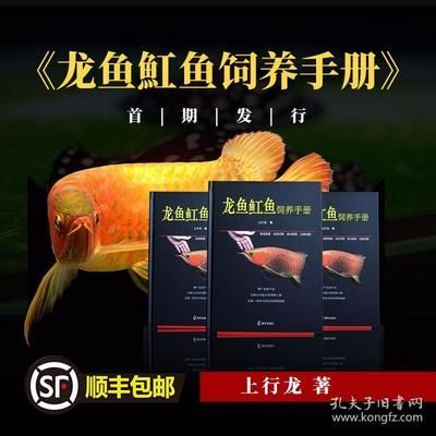 龙鱼魟鱼饲养手册 PDF（《龙鱼魟鱼饲养手册》pdf下载信息帮助您获取到pdf版本） 龙鱼百科 第5张