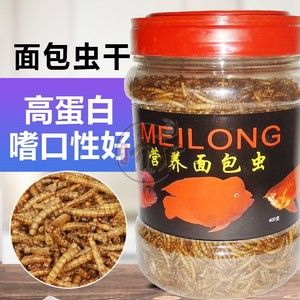 龙鱼黄粉的使用频率（龙鱼黄粉使用频率没有直接的信息表明是否需要每天使用） 龙鱼百科 第4张