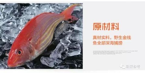 龙鱼金线鼓起的原因（关于龙鱼金线鼓起的原因和防治方法） 龙鱼百科 第5张