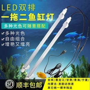 龙鱼缸的LED红灯和白灯对水草的影响（led红灯在水族箱中常用于促进某些鱼类的发色） 龙鱼百科 第4张