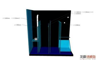 双上水双下水底滤鱼缸设计图（双上水双上水双下水底滤鱼缸设计图设计图设计特点） 龙鱼百科 第2张