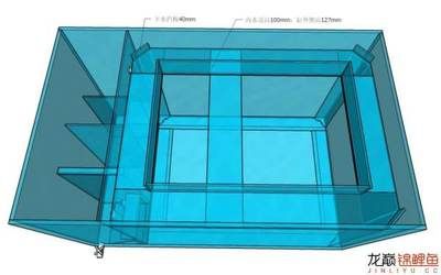 双上水双下水底滤鱼缸设计图（双上水双上水双下水底滤鱼缸设计图设计图设计特点） 龙鱼百科 第3张
