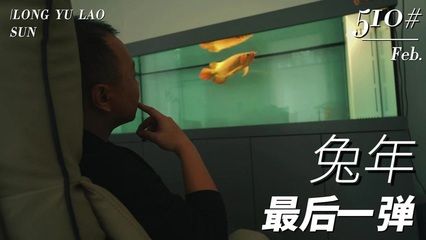 龙鱼老孙的可信度分析（龙鱼老孙在社交媒体平台上拥有一定权威和专业知识） 龙鱼百科 第5张